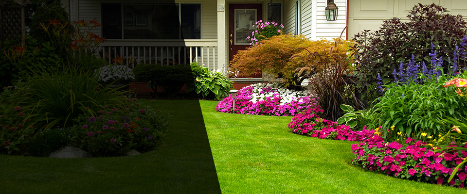Burnet Landscapers
