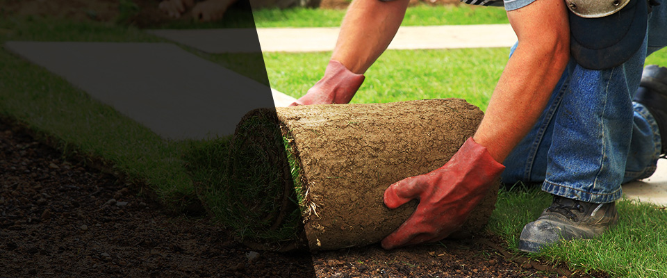 Burnet Landscapers